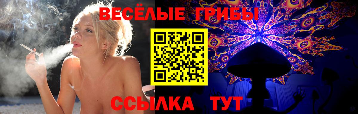 Октябрьский  Галлюциногенные грибы Psilocybe  купить   Вход с VPN 