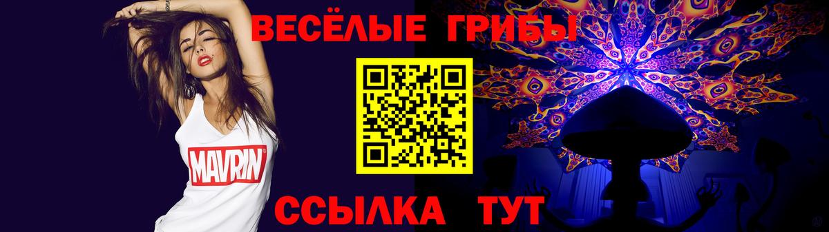 Псилоцибиновые грибы Psilocybe Октябрьский