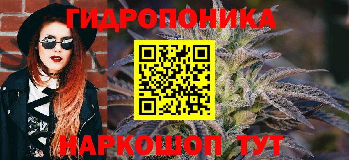 Бошки Шишки OG Kush  Вход с VPN  Бошки Шишки планчик  Шишки марихуана планчик  Октябрьский 